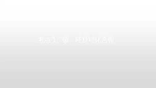 碳、硅及其化合物 新高考化学专题讲解 考点详细分析深入讲解 化学高考必看 最新版