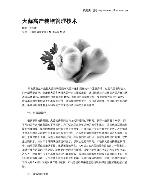 大蒜高产栽培管理技术
