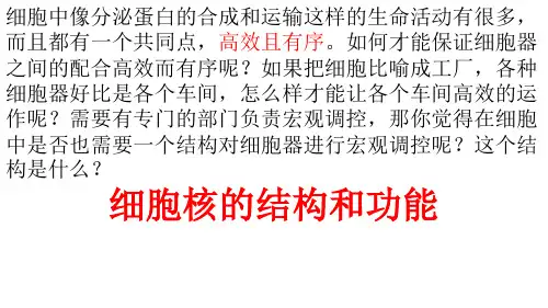 细胞核的结构和功能【新教材】人教版高中生物必修一PPT课件