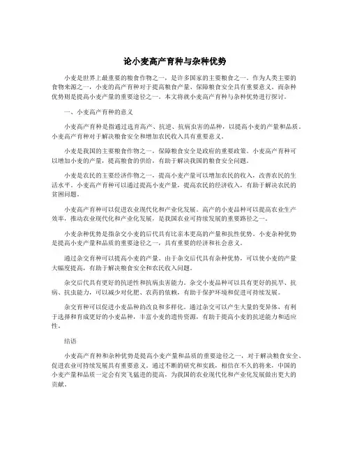 论小麦高产育种与杂种优势