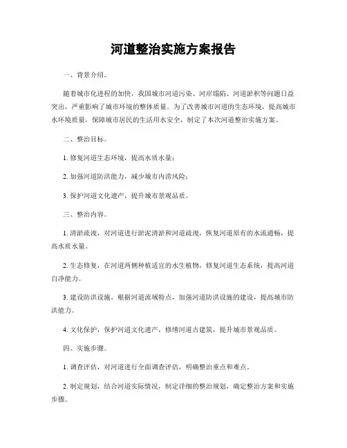 河道整治实施方案报告
