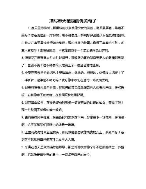 描写春天植物的优美句子