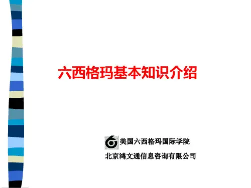 六西格玛基础知识(ppt 28页)