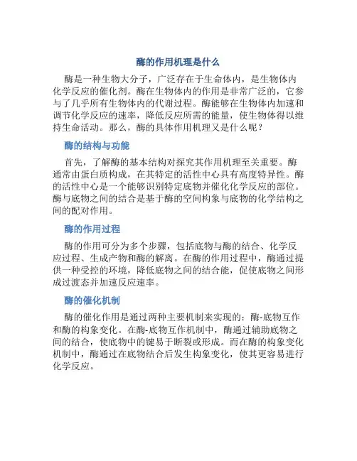 酶的作用机理是什么