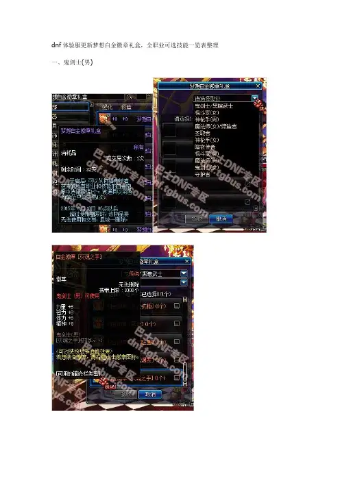 DNF梦想白金徽章礼盒介绍 全职业可选技能一览表
