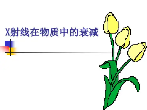第五章X线的衰减规律