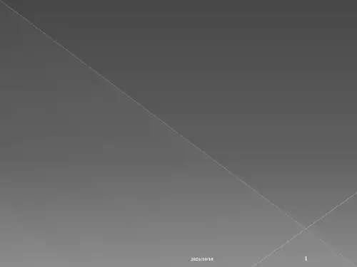 腹部体格检查
