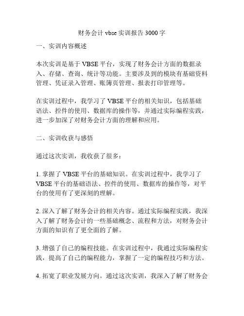 财务会计vbse实训报告3000字