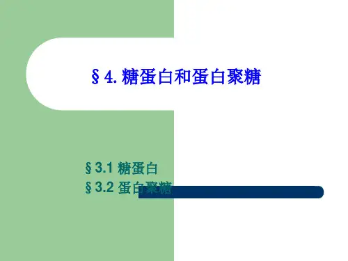 四、糖蛋白和蛋白聚糖