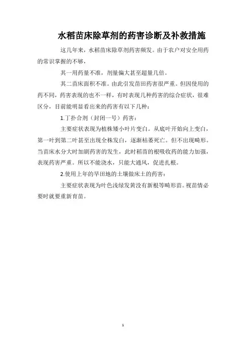 水稻苗床除草剂的药害诊断及补救措施