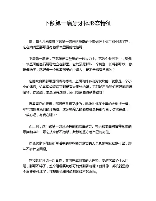 下颌第一磨牙牙体形态特征