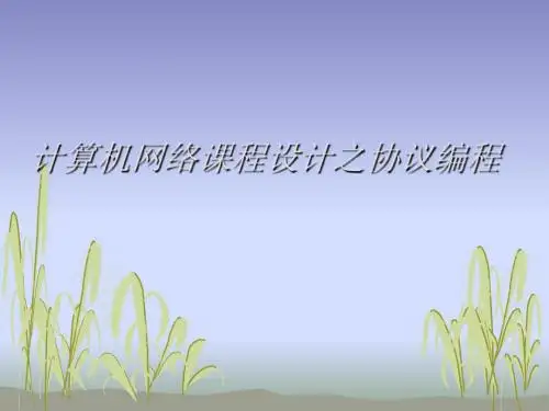 计算机网络课程设计之协议编程