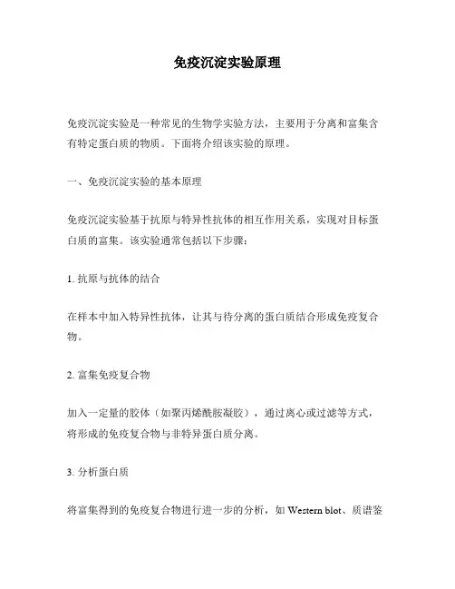 免疫沉淀实验原理