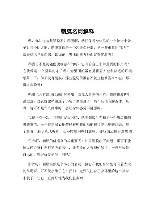 鞘膜名词解释