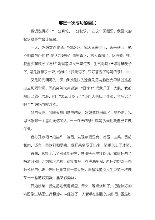 六年级作文：那是一次成功的尝试作文800字_1