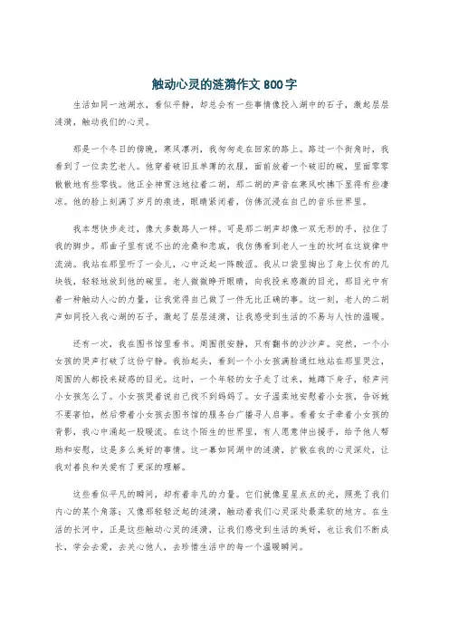 触动心灵的涟漪作文800字