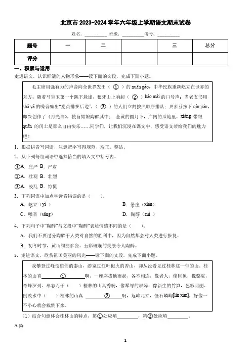 北京市丰台区2023-2024学年六年级上学期语文期末试卷