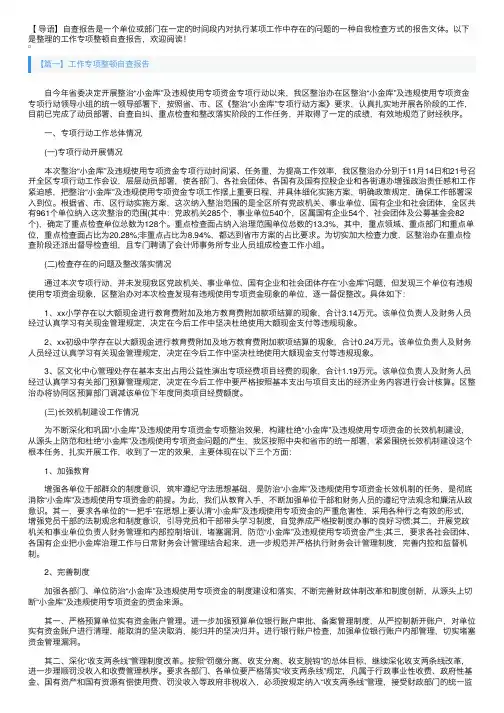 工作专项整顿自查报告5篇