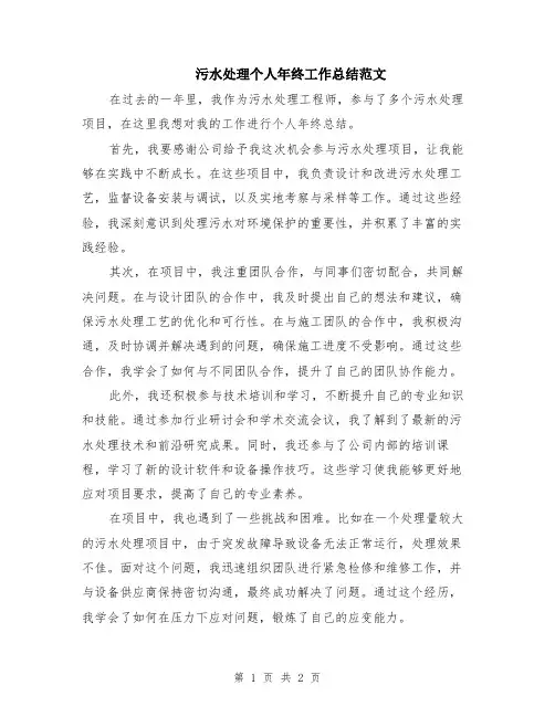 污水处理个人年终工作总结范文