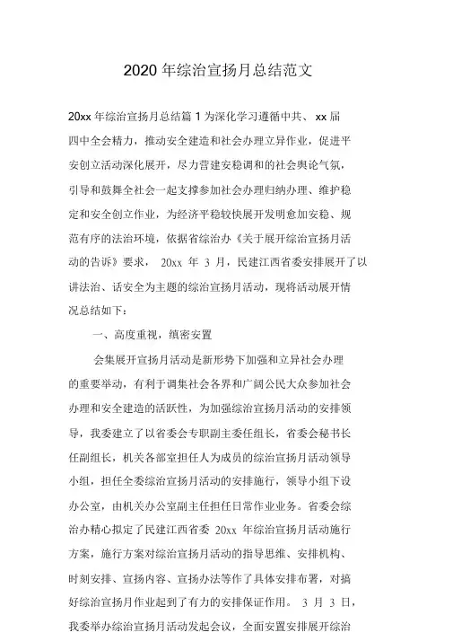 2020年综治宣传月总结范文.doc