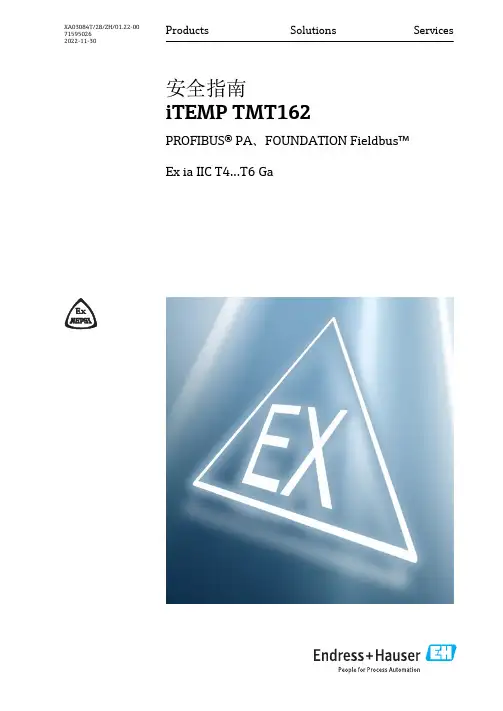 iTEMP TMT162 安全指南说明书