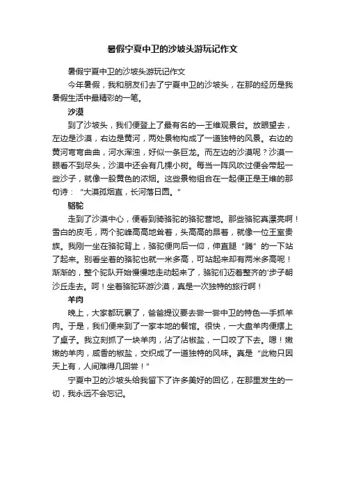 暑假宁夏中卫的沙坡头游玩记作文