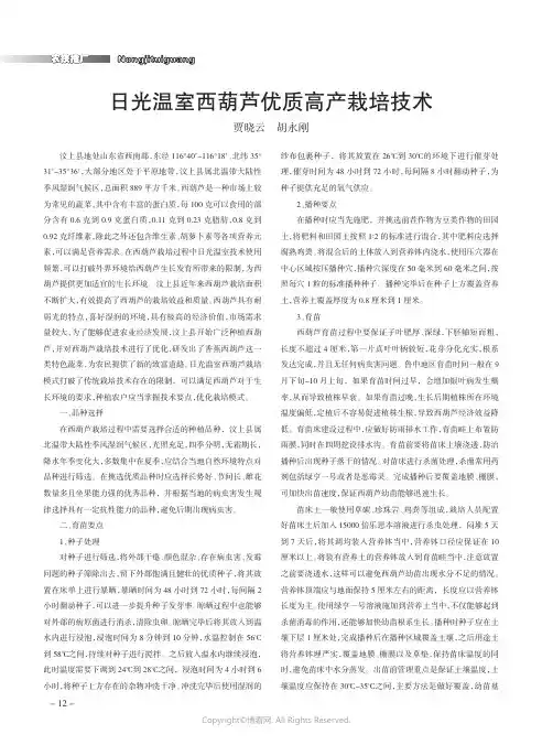 日光温室西葫芦优质高产栽培技术