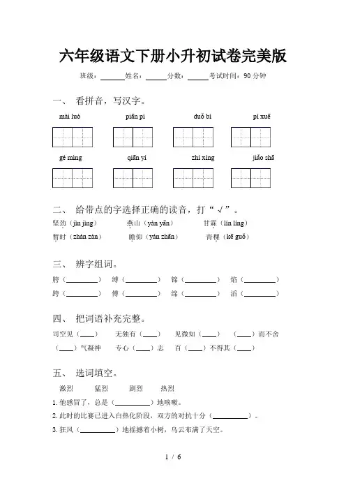 六年级语文下册小升初试卷完美版