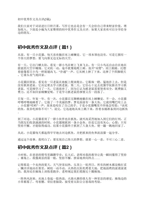 初中优秀作文及点评(5篇)