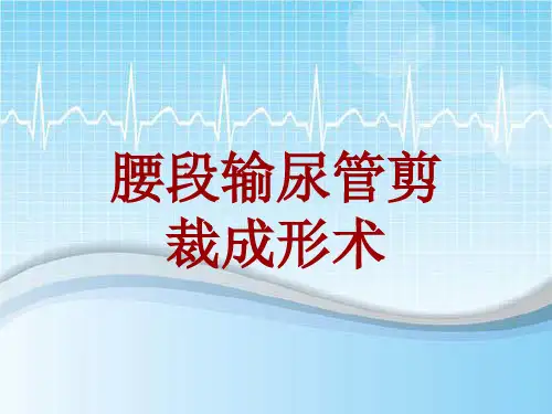 手术讲解模板：腰段输尿管剪裁成形术