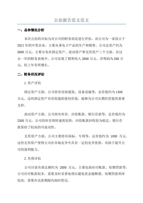 公估报告范文范文