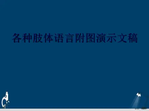 各种肢体语言附图演示文稿