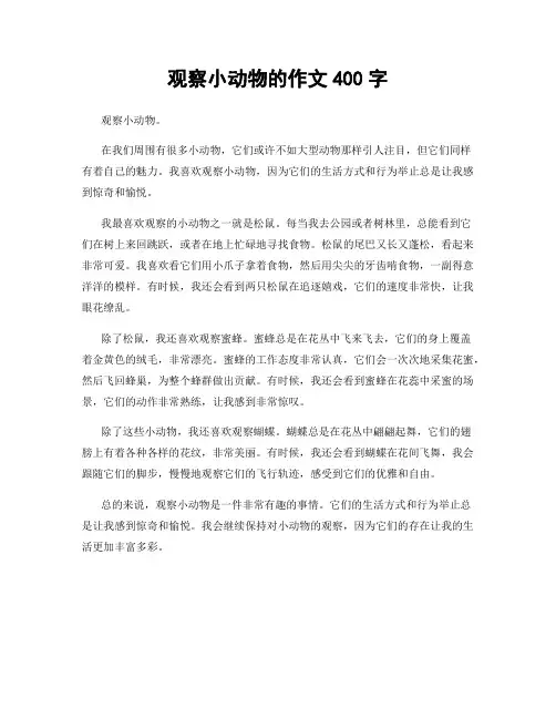 观察小动物的作文400字