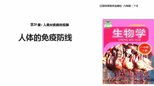 八年级下册生物课件 8241人体的免疫防线课件苏科版