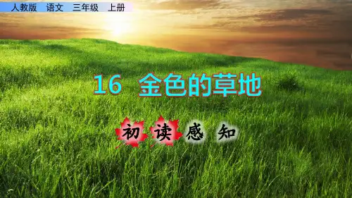 《金色的草地》课件PPT(完美版)三年级上册语文部编