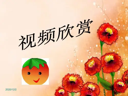 《门窗墙》 ppt课件
