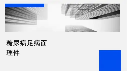糖尿病足病筛查及创面处理课件