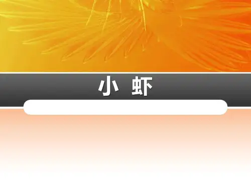 《小虾》PPT课件