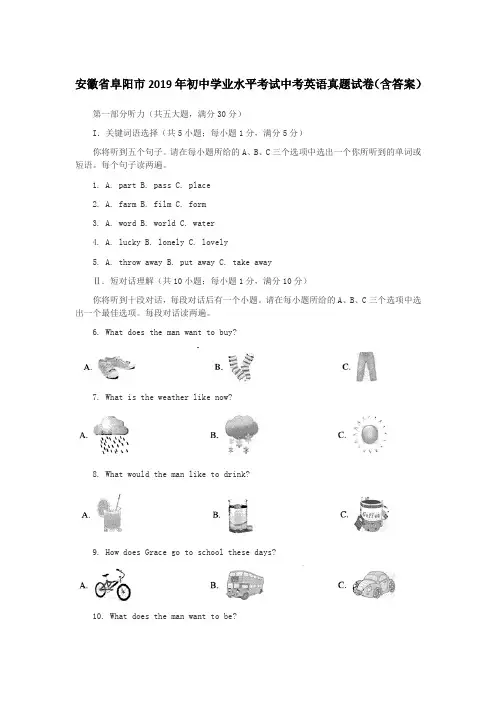 安徽省阜阳市2019年初中学业水平考试中考英语真题试卷(含答案)