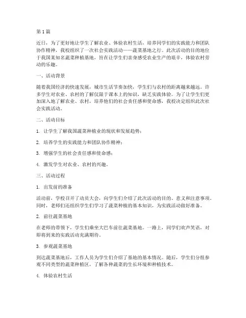 社会实践活动蔬菜基地(3篇)