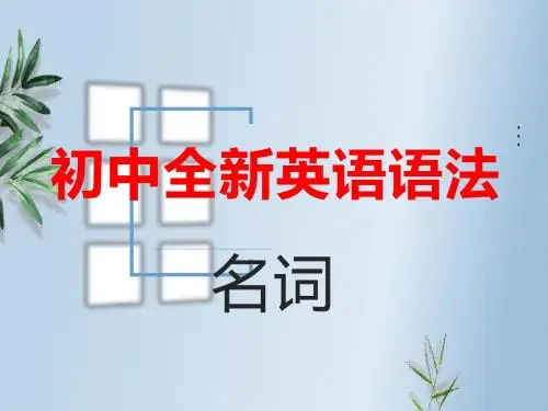 初中全新英语语法——名词(共27张PPT)