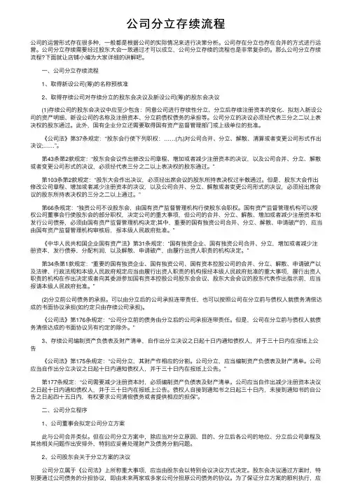公司分立存续流程