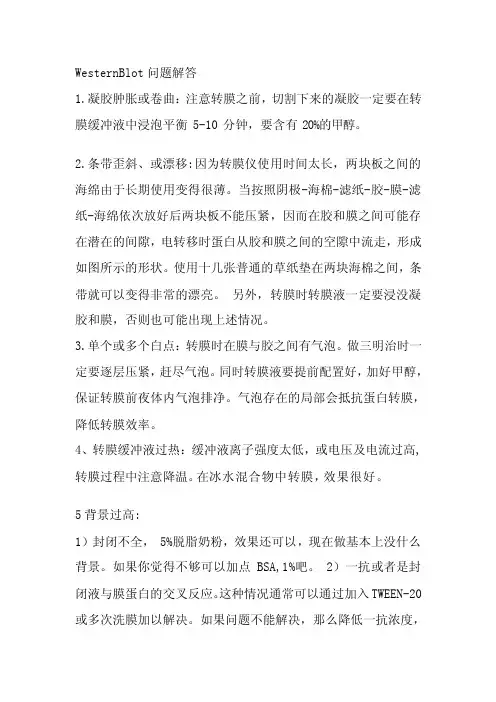 WB问题分析