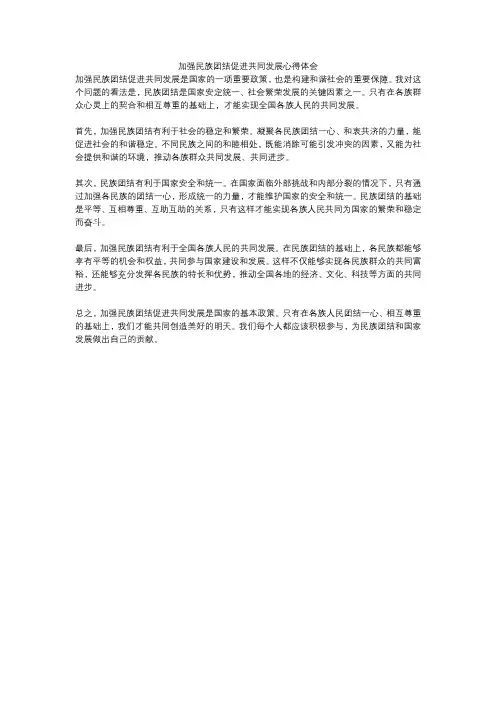 加强民族团结促进共同发展心得体会