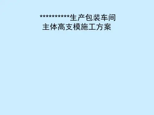 高架支模专家论证PPT