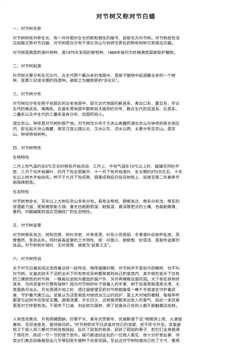 对节树又称对节白蜡