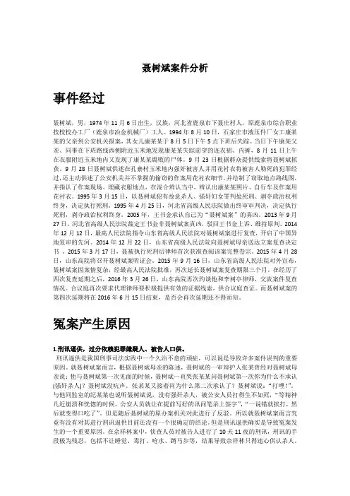 聂树斌案分析3
