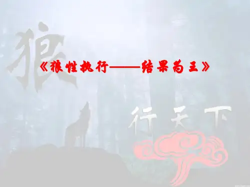 结果为王——狼性执行