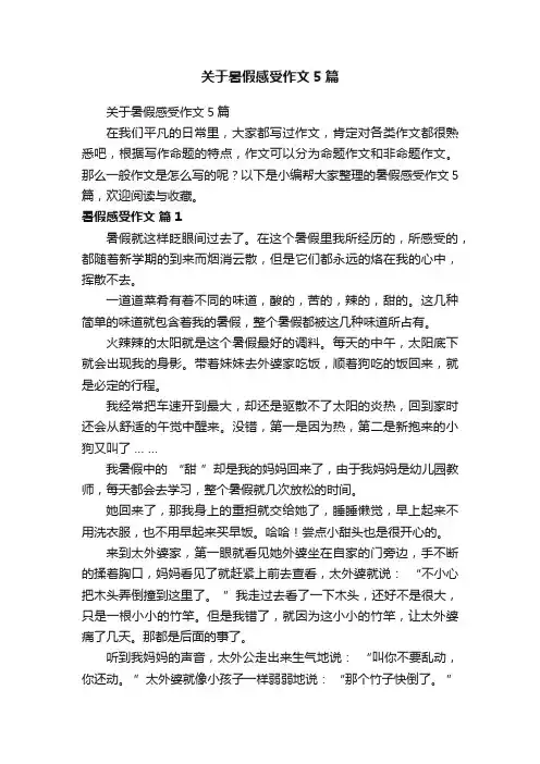 关于暑假感受作文5篇