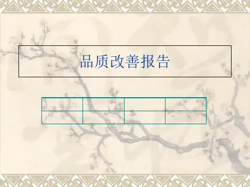 品质改善报告